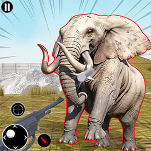 Zoo Anomaly Simulation